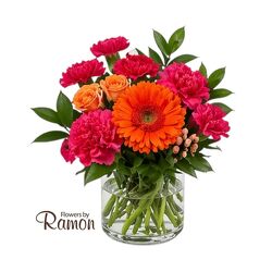 Fiesta from Flowers by Ramon of Lawton, OK